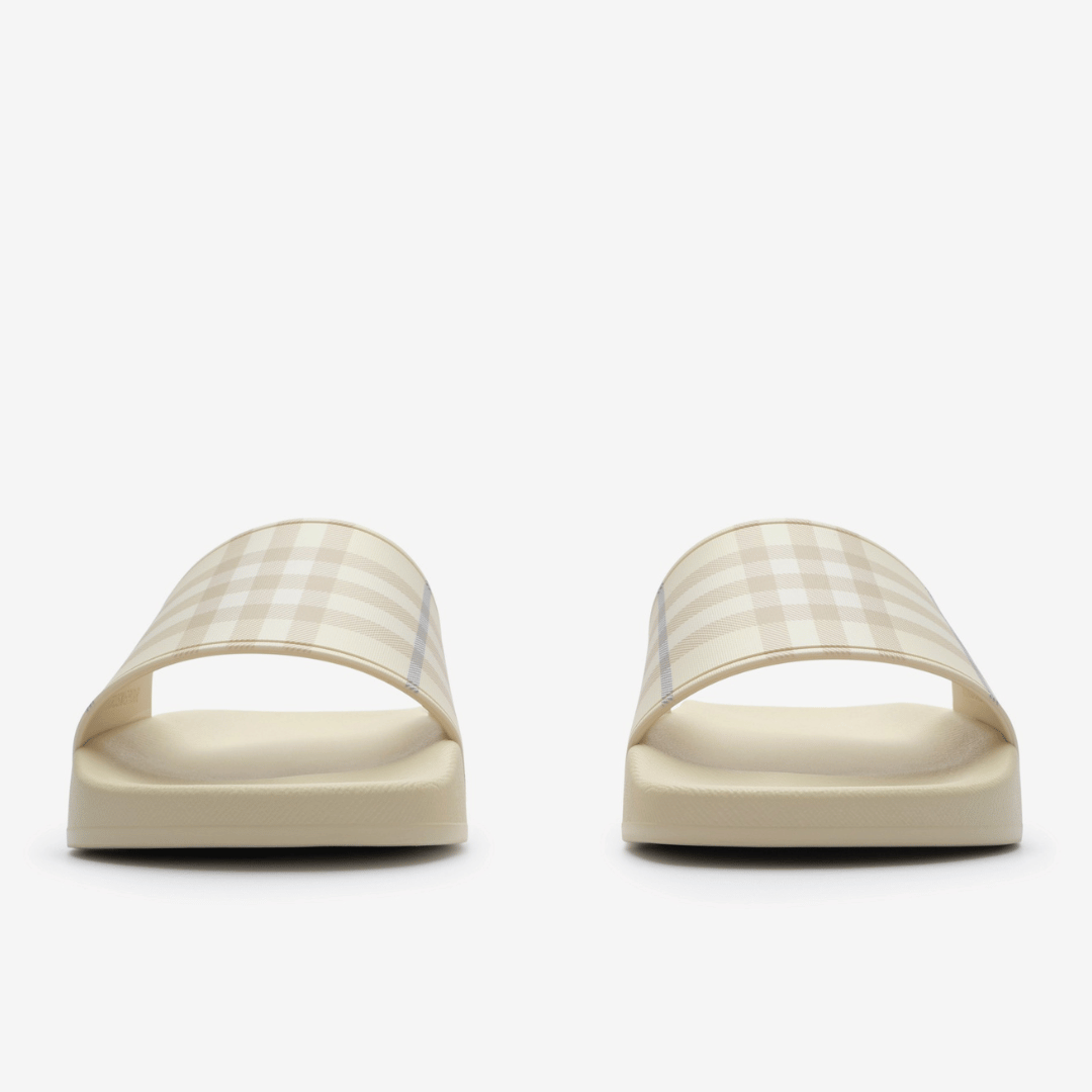 Check Slides