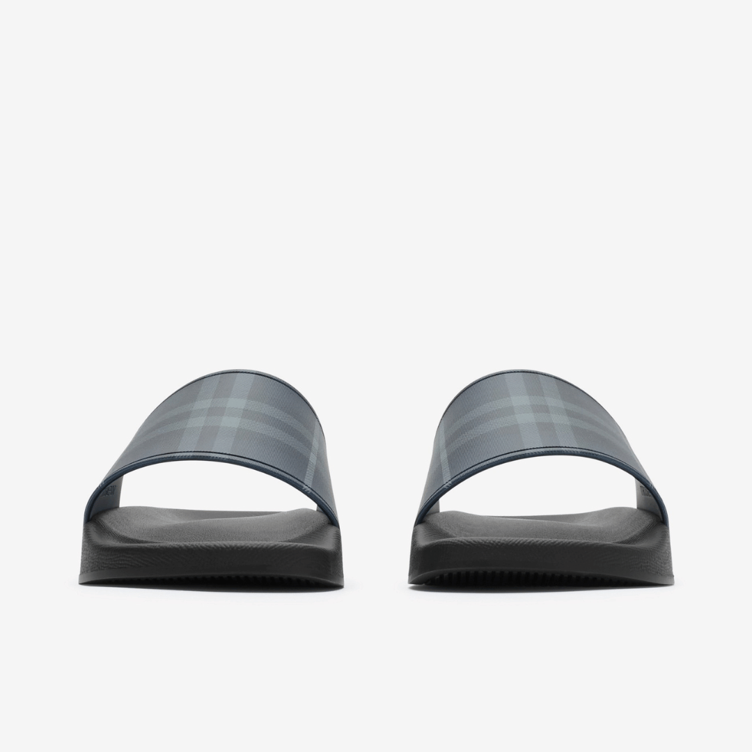 Check Slides