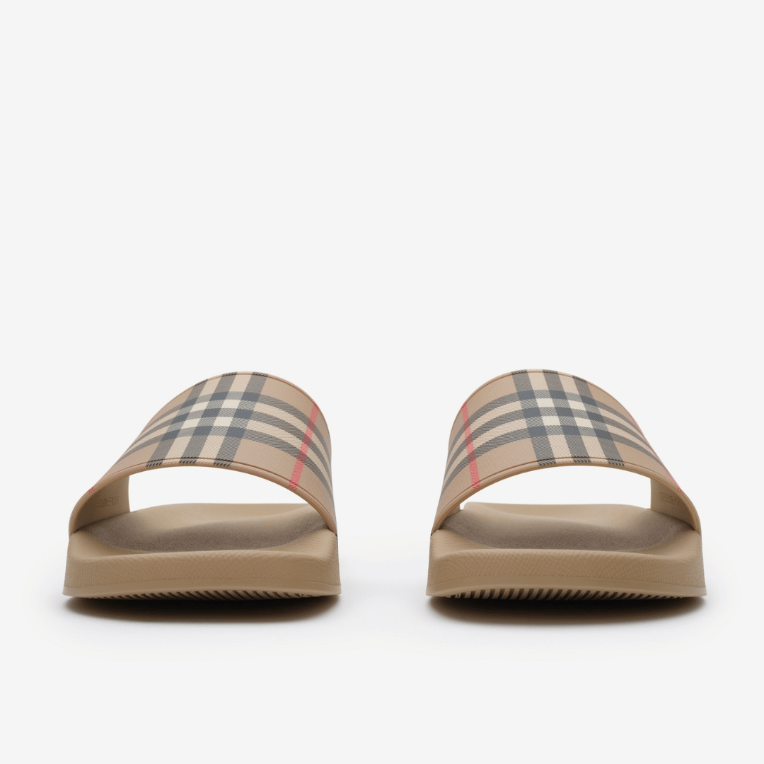 Check Slides