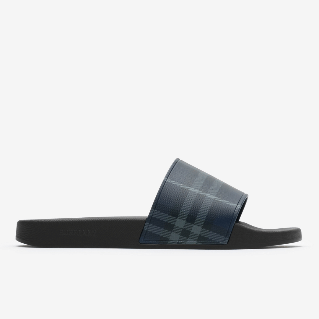 Check Slides